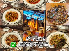 -地中海传奇水汇