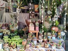 -循礼门鲜花花市(武汉循礼门店)