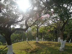 -火炉山森林公园