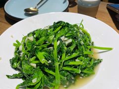 清炒豌豆尖-胡马八破·川菜小馆(高新万达店)