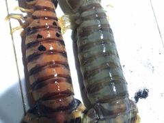 -海盗餐厅