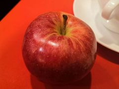 -天津燕园国际大酒店