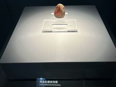 -北京大葆台遗址博物馆