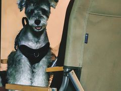 -J Create城市露营咖啡·简餐·宠物(上海动物园店)