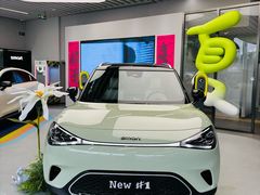 -上海浦东smart汽车全功能店(金桥店)