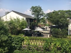 -田园东方蜜桃村的田野营地
