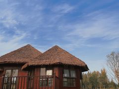 -白鹭湾湿地公园