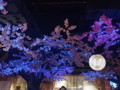 -蓝鲸湾汤泉(包河店)