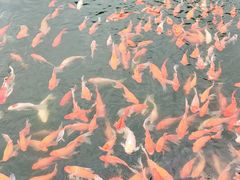 -东湖生态旅游风景区