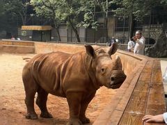 -昆明动物园