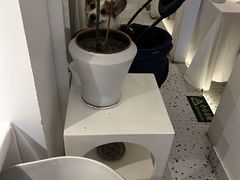 -春树下·树屋花房西餐厅(罍街AS1980店)