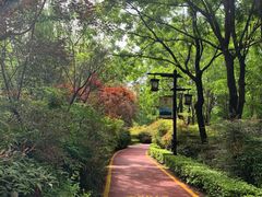 -西安汉城湖景区