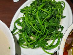 -双流老字号董蹄花(机场南四路店)