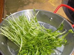 -手选潮汕鲜牛肉火锅(二七广场店)