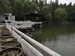 -浮庄