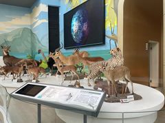 -陕西自然博物馆