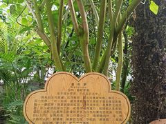 -呀路古热带植物园