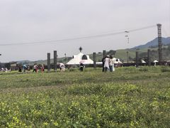 -新疆那拉提国家旅游度假区