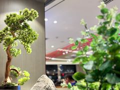 -蝎王府羊蝎子(西直门店)