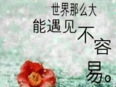 -遇见 ·砂师弟与二师兄