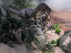 -国家自然博物馆