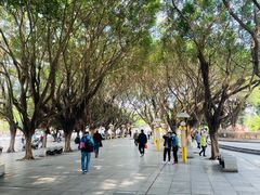 -北部湾广场