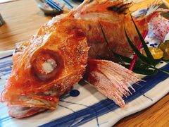 北海道鲜金吉鱼-盧匠日料