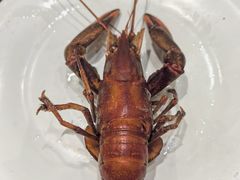 -川骄海鲜自助(河东店)