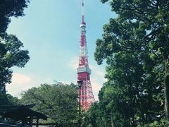-东京塔海贼王主题公园