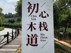 -树山生态村