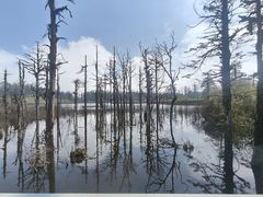 -瓦屋山景区
