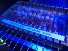 -很久以前羊肉串(打浦路店)