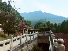 -灵光寺