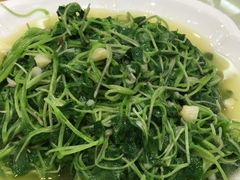 清炒豌豆苗-旅宁大酒店