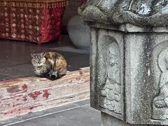 -龙华寺
