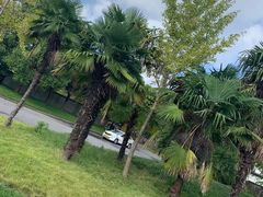 -胜华驾校·小猫学车(银都店)