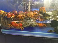 -三旗百汇商品城