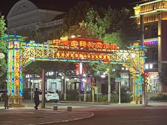 -布尔津河堤夜市