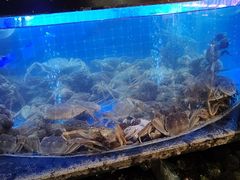 -福禧荟·海鲜自助