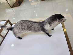 -肃宁华斯国际裘皮城