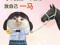 -吴酥生宫廷酥饼(南门口店)