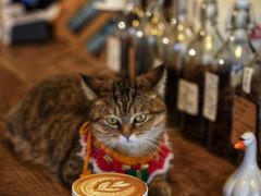 -新月集庭院咖啡馆(老邮局店)