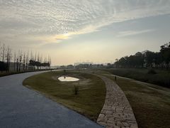 -春花秋色城市公园