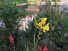 -苏州河梦清园环保主题公园