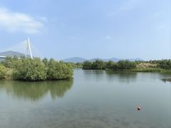 -芒洲湿地公园
