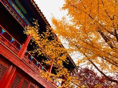 -大钟寺古钟博物馆