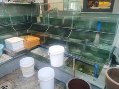 -旺山·浪头人家