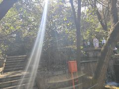 -沈阳植物园