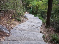 -狐尾山公园