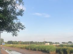 -恒盛海鲜餐厅